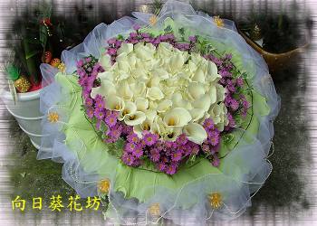 點我回上一頁~~