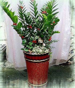 點我回上一頁~~