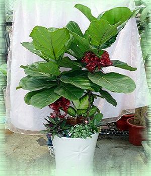 點我回上一頁~~