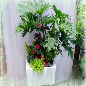 點我回上一頁~~