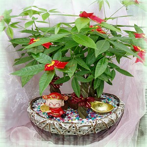 點我回上一頁~~