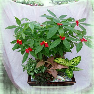 點我回上一頁~~