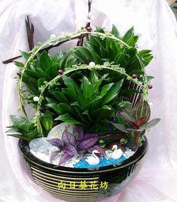 點我回上一頁~~