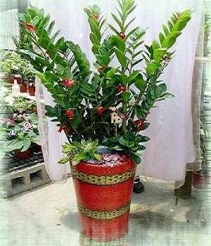 點我回上一頁~~