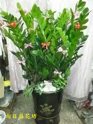 點我回上一頁~~