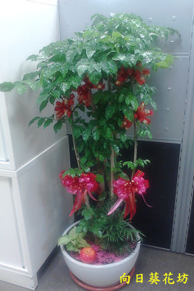 點我回上一頁~~