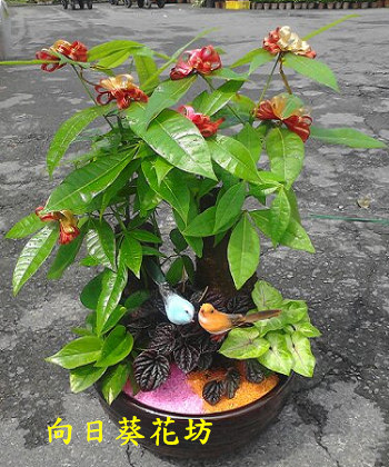 點我回上一頁~~