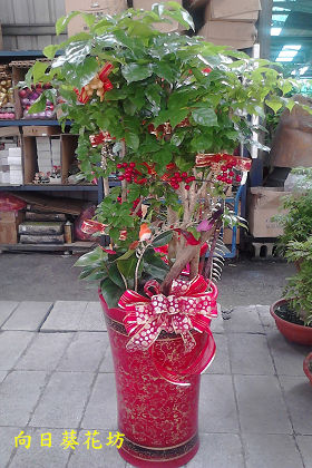 點我回上一頁~~