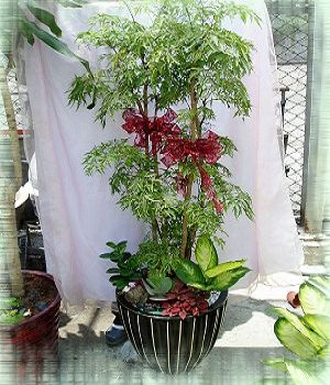 點我回上一頁~~