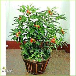 點我回上一頁~~