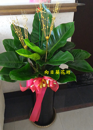 點我回上一頁~~