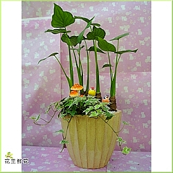 點我回上一頁~~