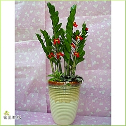 點我回上一頁~~