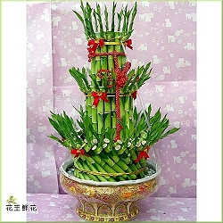 點我回上一頁~~