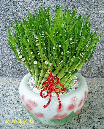 點我回上一頁~~