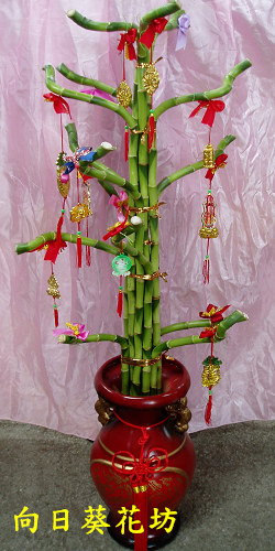 點我回上一頁~~