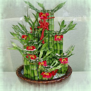 點我回上一頁~~