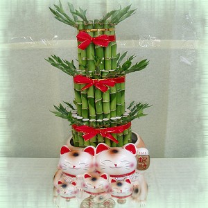 點我回上一頁~~