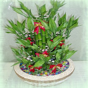 點我回上一頁~~