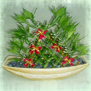 點我回上一頁~~