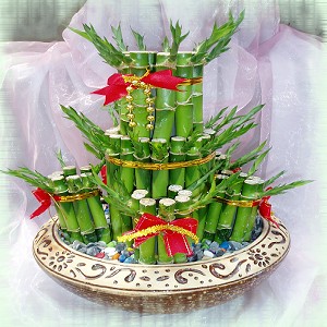 點我回上一頁~~