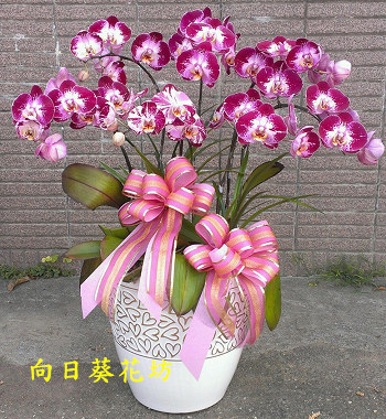 點我回上一頁~~