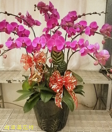 點我回上一頁~~