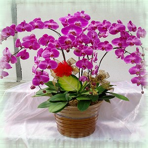 點我回上一頁~~