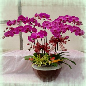 點我回上一頁~~