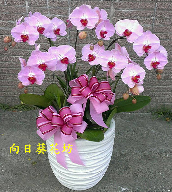 點我回上一頁~~