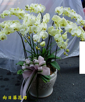 點我回上一頁~~