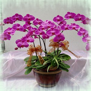 點我回上一頁~~