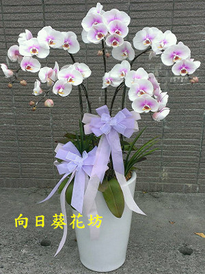 點我回上一頁~~