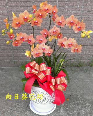 點我回上一頁~~