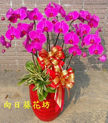 點我回上一頁~~