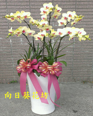 點我回上一頁~~