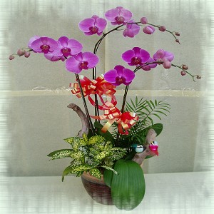 點我回上一頁~~