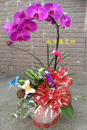 點我回上一頁~~