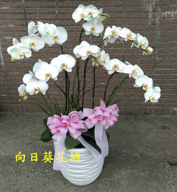 點我回上一頁~~