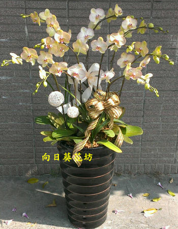 點我回上一頁~~