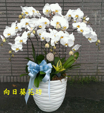 點我回上一頁~~