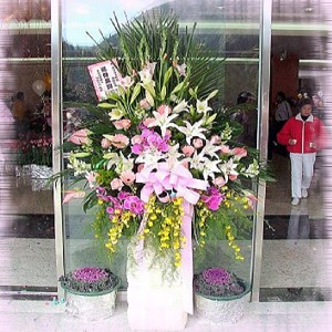 點我回上一頁~~