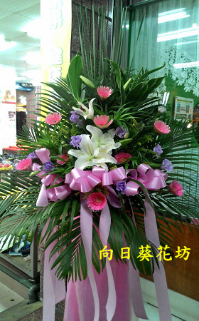 點我回上一頁~~