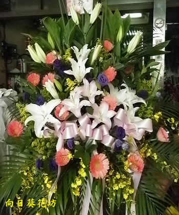 點我回上一頁~~