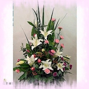 點我回上一頁~~