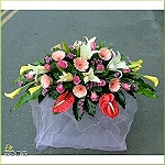 點我回上一頁~~