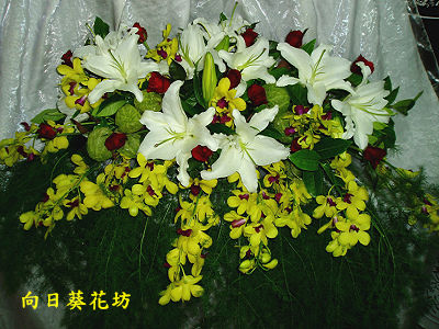 點我回上一頁~~