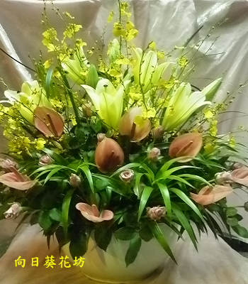 點我回上一頁~~