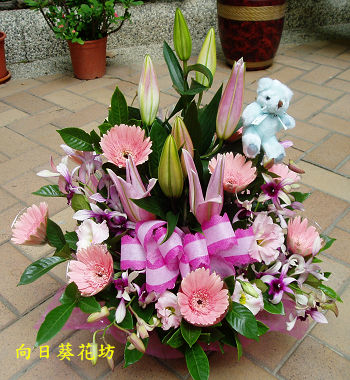 點我回上一頁~~