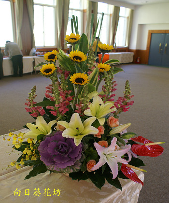 點我回上一頁~~